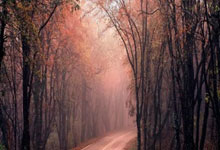 籃球盛宴裏勒瘋狂得分 馬帝昂也不甘示弱 北控輕松奪勝再次戰勝寧波.