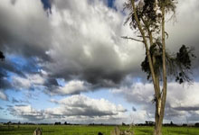 媒體人期待2025年男籃首戰對日本 更完整陣容令人期待 明年2月見.